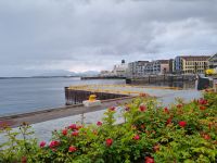 Molde