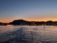 Morgendliche Impressionen (4)