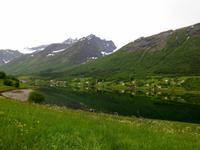 Morgens am Fjord
