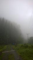 Nebel