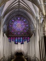 Nidarosdom (16)
