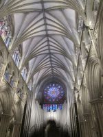 Nidarosdom: Rosette und Steinmeyer Orgel