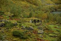 Norangsdalen