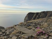 Nordkap 