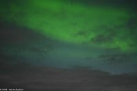 Nordland - Lady Aurora zwischen Rørvik und Brønnøysund