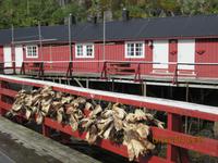 Nusfjord