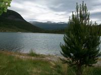 Ottdalen