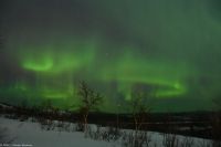 Polarlicht über Kiruna