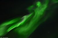 Polarlicht über dem Vestfjord - die Corona