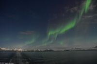 Polarlicht über den Lofoten und dem Vestfjord (Nordland)