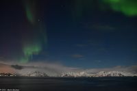 Polarlicht über den Lofoten und dem Vestfjord (Nordland)