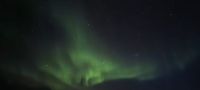 Polarlichter nördlich von Tromsø...