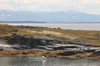 Porsangerfjord