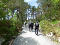 Preikestolen