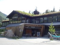 Rast im Fjell