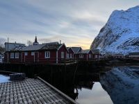 Reine