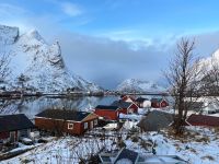 Reine