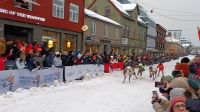 Rentier-Ski-Rennen