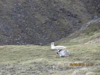 Richtung Nordkap
