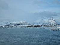 Risøyhamn