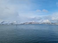 Risøyhamn