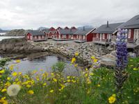 Rorbuer in Mortsund