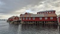 Rorbuer in Reine