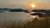 Rorbuer-Hotel in Mortsund - Lofoten