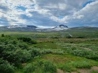 Saltfjell 