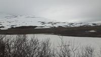 Saltfjell
