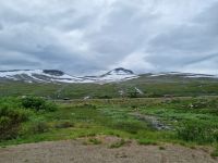 Saltfjell