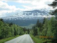 Saltfjell