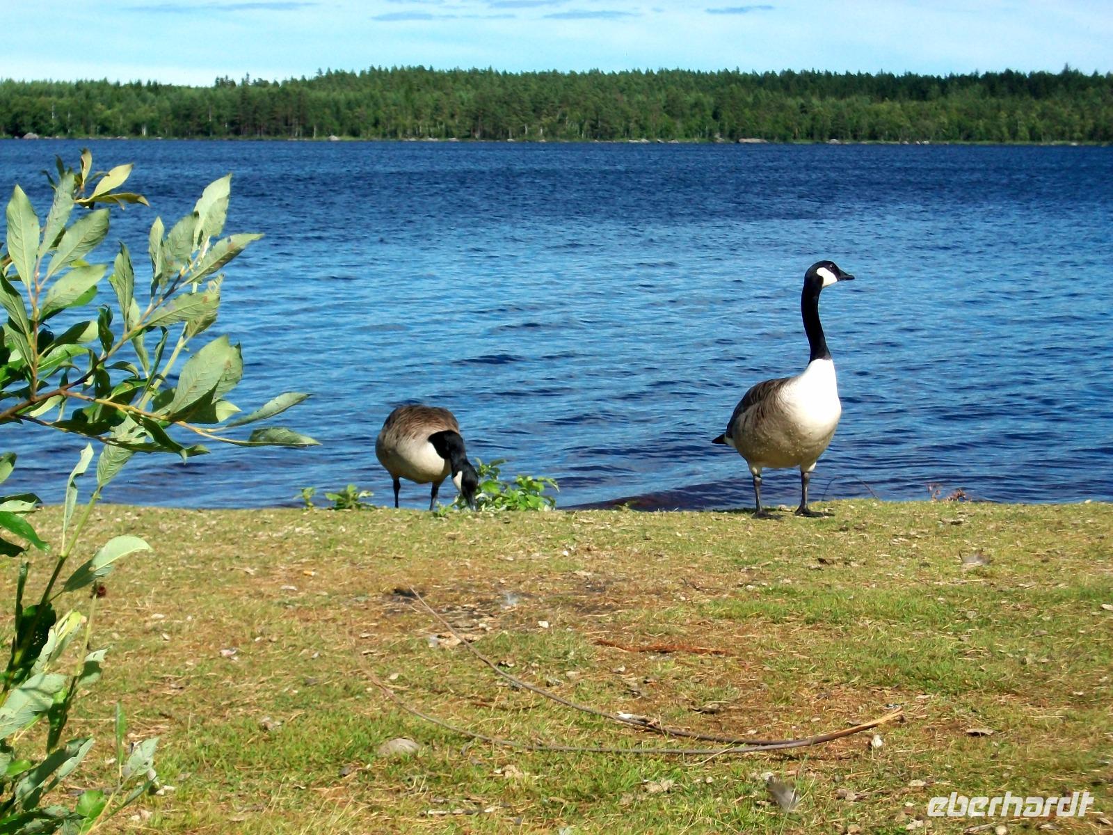 Schwedische Impressionen 