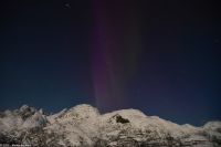 Seltenes lila Polarlicht im magischen Trollfjord (Lofoten)