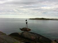 Senja