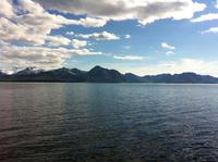Senja