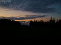 Skörping