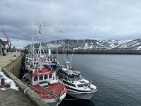 Skarsvag 