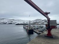 Skarsvag 