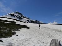 Snowveggen Norwegen