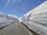 Snowveggen Norwegen