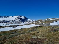 Sognefjell 