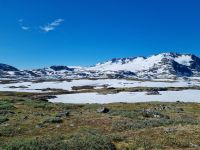 Sognefjell 