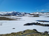 Sognefjell 