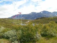 Sognefjell-Strasse