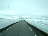 Sognefjell