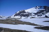 Sognefjell