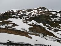 Sognefjell
