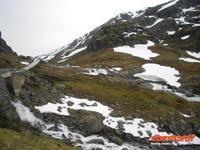 Sognefjell