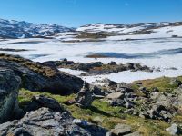 Sognefjell
